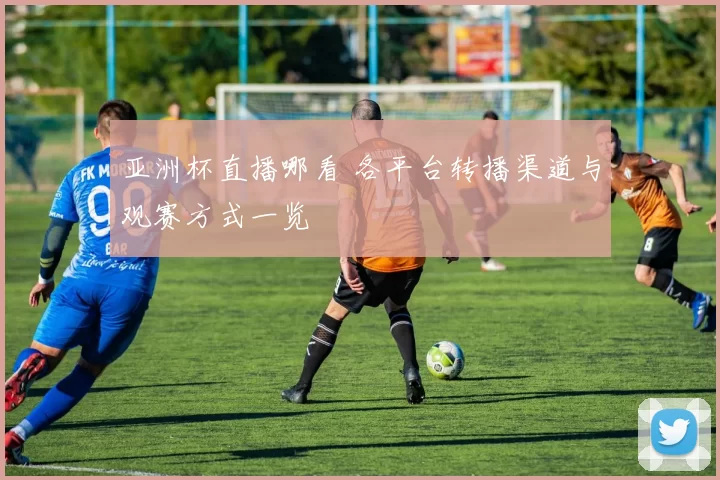 亚洲杯直播哪看 各平台转播渠道与观赛方式一览