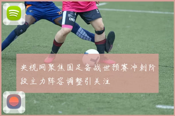 央视网聚焦国足备战世预赛冲刺阶段主力阵容调整引关注