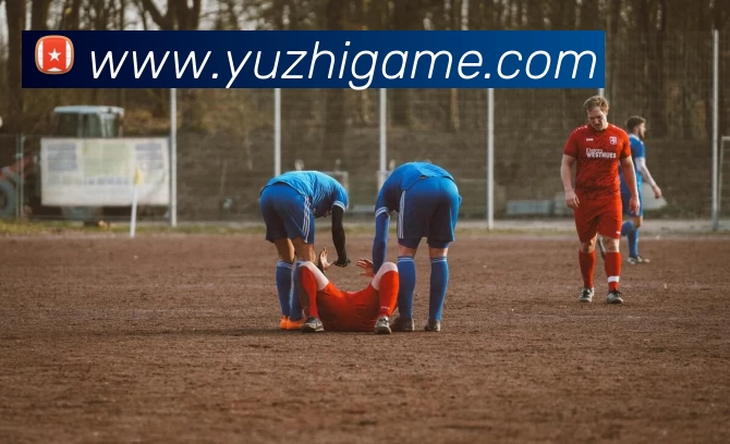 星空体育综合体育入口APP 封面图